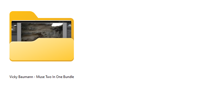 What is inside Muse Two In One Bundle by Vicky Baumann