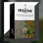 Negative Powergrade Davinci Resolve by Loris Marie
