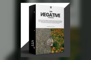 Negative Powergrade Davinci Resolve by Loris Marie