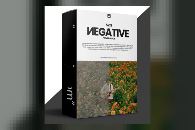 Negative Powergrade Davinci Resolve by Loris Marie